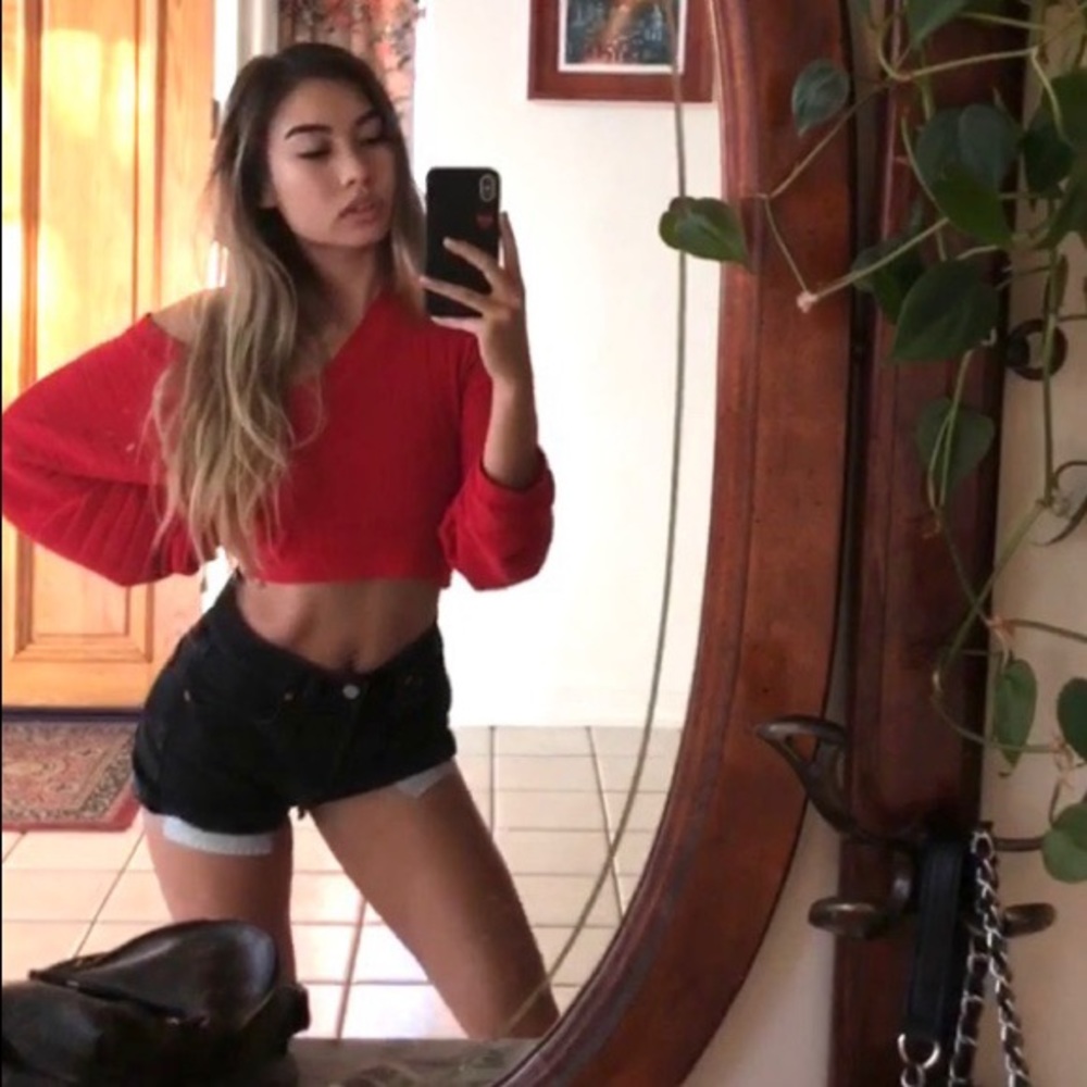 long sleeve crop top